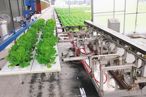 雙創(chuàng)驅(qū)動下的未來農(nóng)業(yè) 科技種植技術(shù)引領(lǐng)農(nóng)業(yè)農(nóng)村新變革